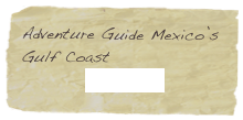 Adventure Guide Mexico’s Gulf Coast
 BUY NOW